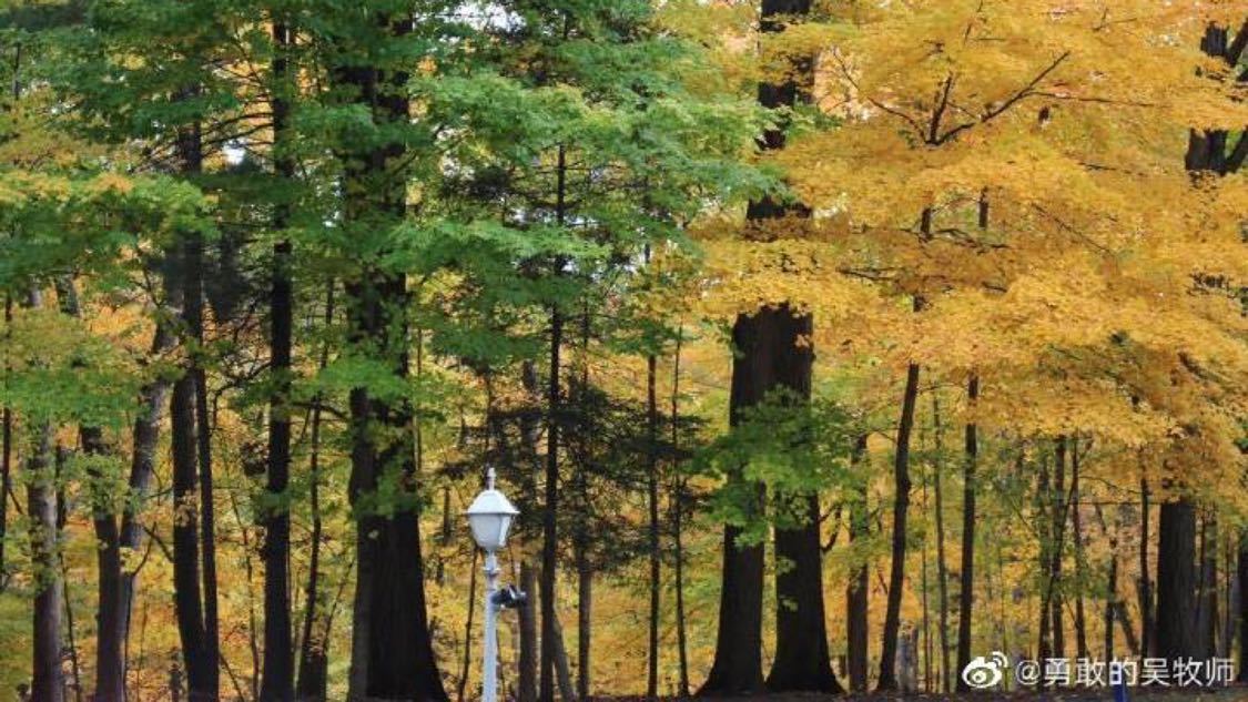 不久前联合推广高端化定制您的品牌 IP,开启流量增长新征程,dy自助平台下单：自助下单平台代刷业务在线办理